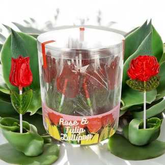 Profisa Lollipop Tulip 50X35g