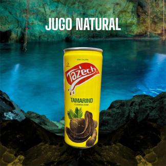 Tazech Tamarind Drink Can 30X250ml